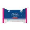 Caddy's Igienizzanti 10 Salviette