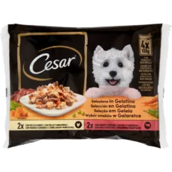 Cesar Dog Delizie del Giorno Multipack Pollo e Carote e Manzo e Verdure in Gelatina 4x100 gr