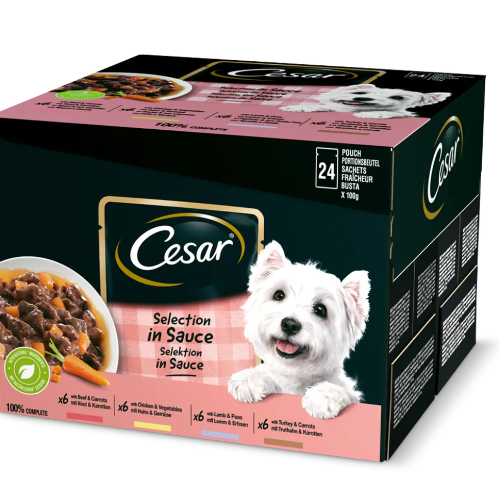 Cesar Dog Selezione in Salsa 24x100 g