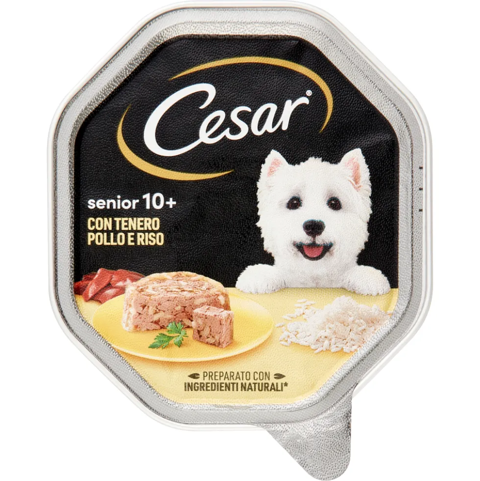 Cesar Dog Senior Tenero Pollo e Riso in Gelatina 10+ 150 gr