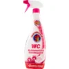 Chanteclair WC Schiumattiva Candeggina 625 ml