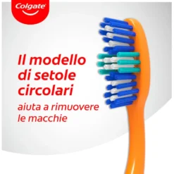 Colgate Spazzolino Triple Action Medio 2 pezzi
