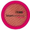 Debby Blushexperience Plum N.04