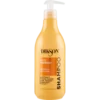 Dikson Shampoo Ricci Energetici 500 ml