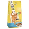 Friskie Salmone Verdure 2 Kg