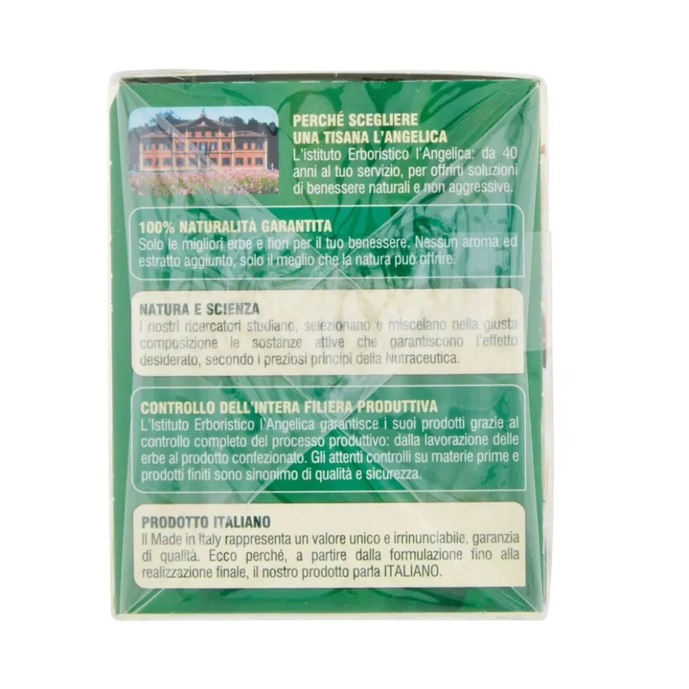L'Angelica Nutraceutica le Tisane Sollievo Stomaco 20 Filtri 30 g