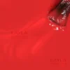 Layba Gel Polish Colour N.713
