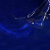 Layla Gel Polish Colour N.12