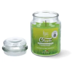 Magic Lights Candela alla Citronella in Barattolo da 510ml