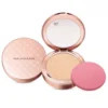 Naj-Oleari Silk feel Wet & dry Powder Foundation N.01