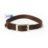 Petup Collare Nylon Marrone 12 x 380 mm