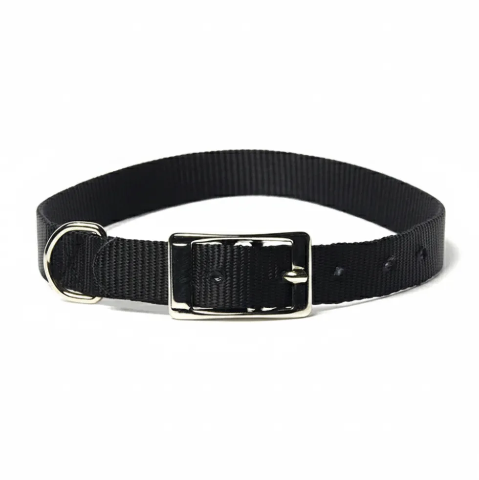 Petup Collare nylon mm 15 x 450 nero