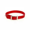 Petup Collare Nylon Rosso 12 x 380 mm