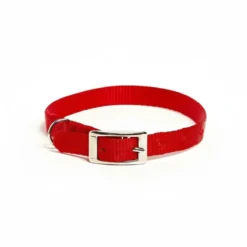 Petup Collare Nylon Rosso 12 x 380 mm