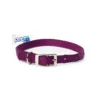 Petup Collare Nylon Viola 12 x 380 mm