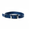 Petup Collare nylon 15 x 450 mm blu