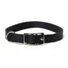 Petup Collare nylon 18 x 500 mm nero