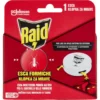 Raid Esca Formiche Insetticida 1 pezzo