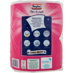 Regina Asciugone Power Carta Casa 1 Rotolo 250 Strappi
