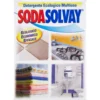SodaSolvay Detergente Ecologico Multiuso 1000 g
