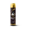 Splend'or Lacca Argan 300 ml