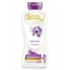 Spuma di Sciampagna Ametista e Orchidea Bagnodoccia 650 ml