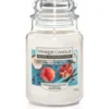 Yankee Candle Melograno e Cocco Giara Grande 538g