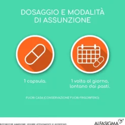 Yovis Caps Fermenti Lattici 10 Capsule