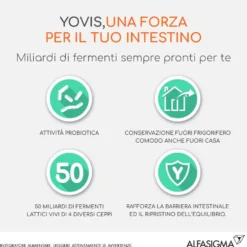 Yovis Caps Fermenti Lattici 10 Capsule